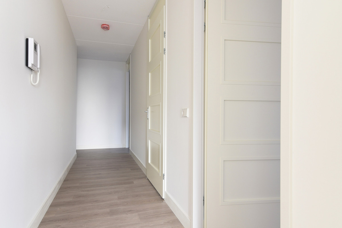 House Image 4