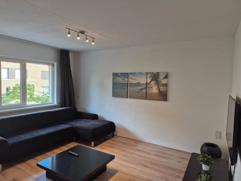 House Image 4