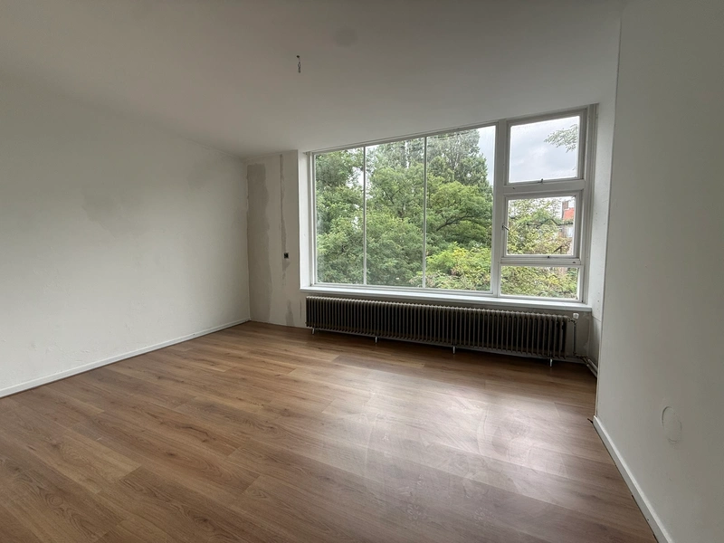 House Image 4