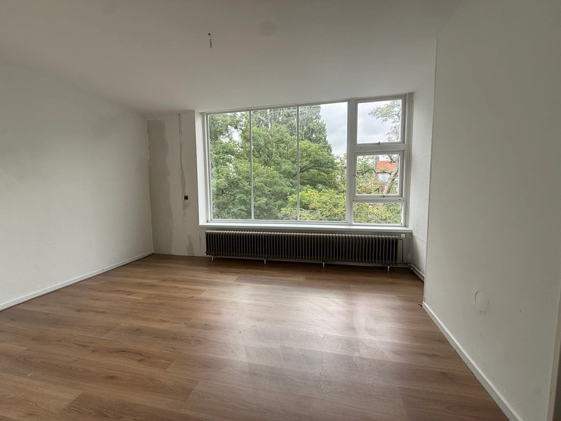 House Image 5