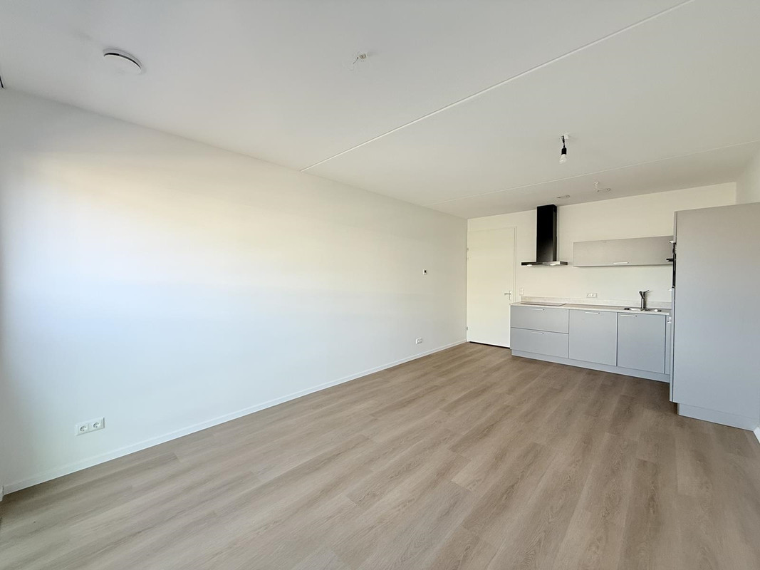House Image 4