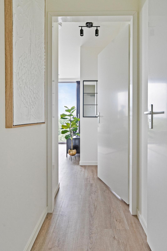 House Image 3