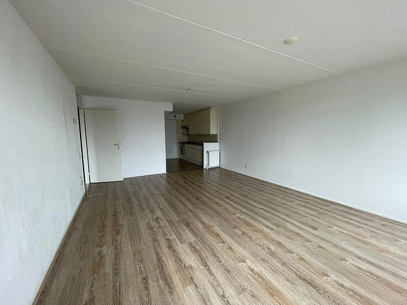 House Image 3