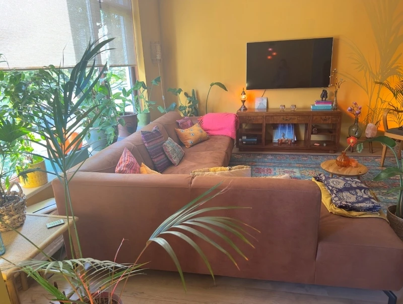 House Image 3