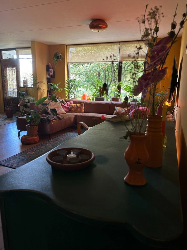 House Image 5