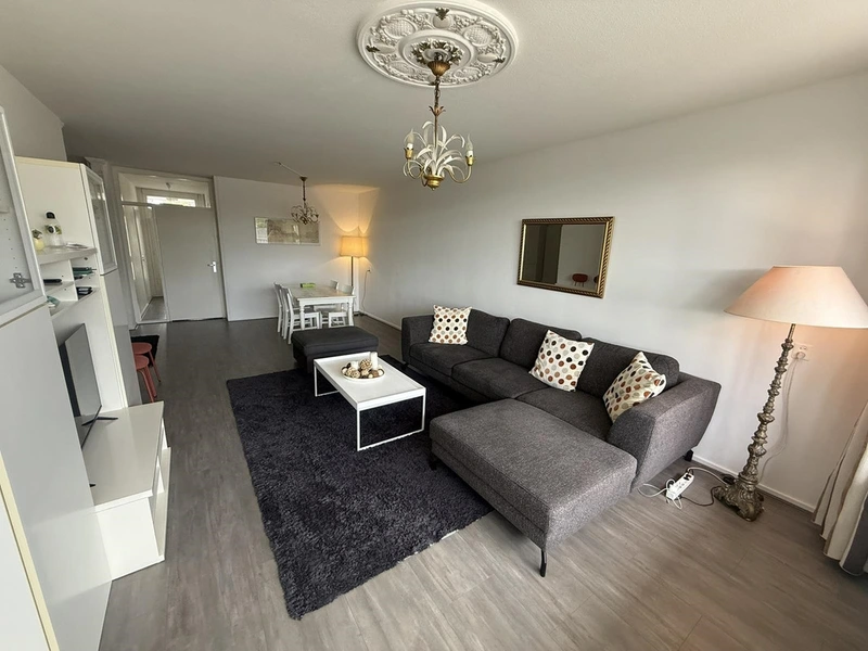 House Image 3