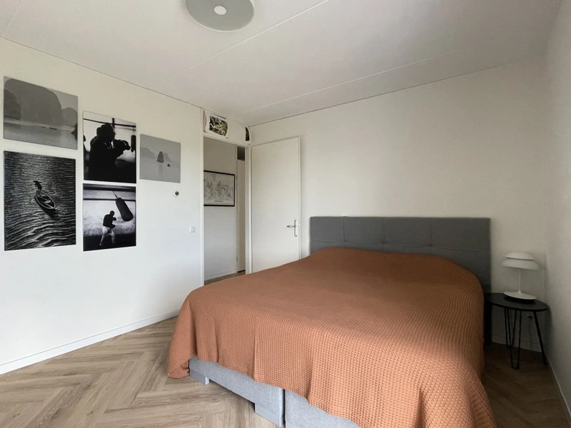 House Image 5