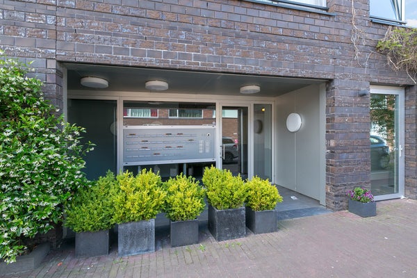 House Image 3