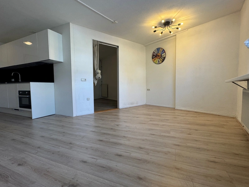 House Image 4