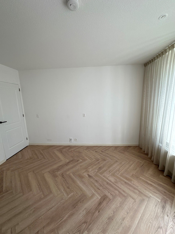 House Image 4