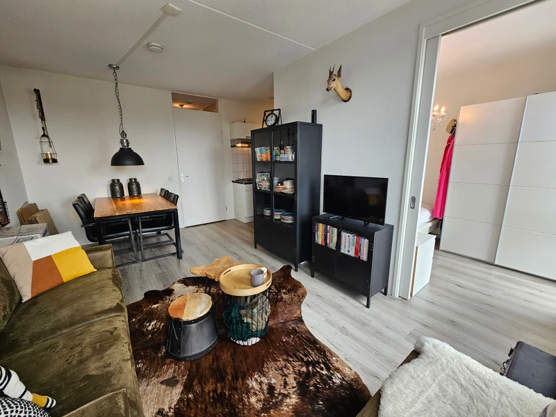 House Image 3