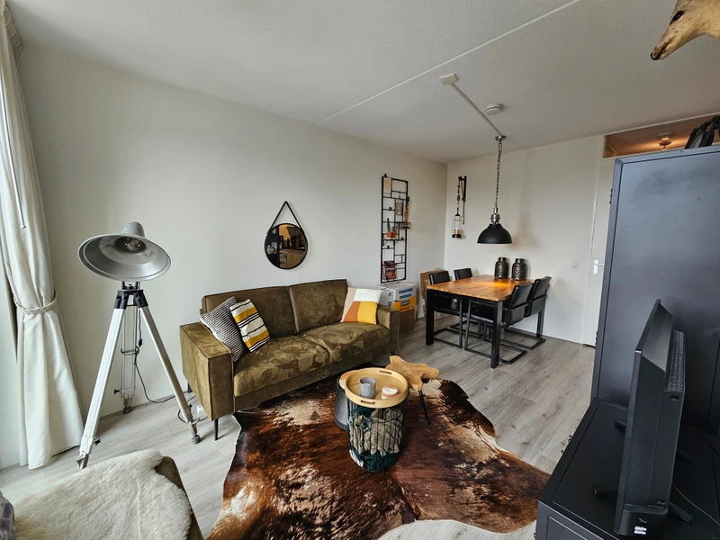 House Image 4