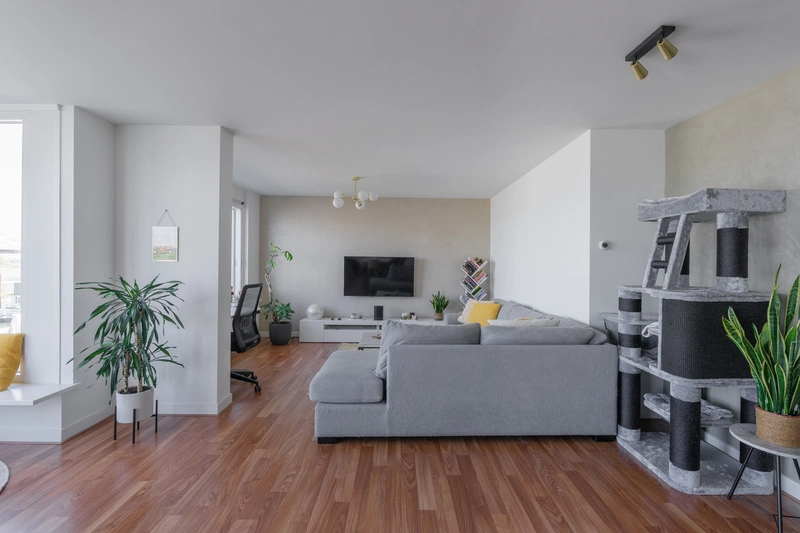 House Image 3