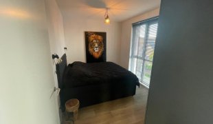 House Image 4