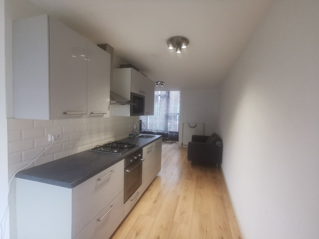 House Image 4