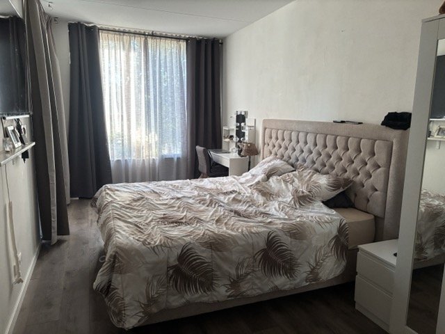 House Image 4
