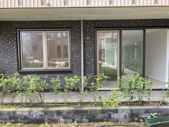 House Exterior
