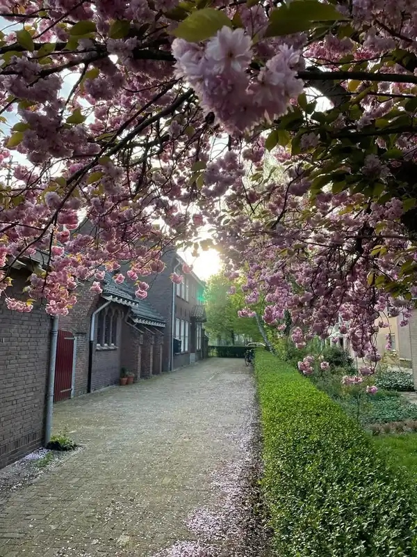 recent house