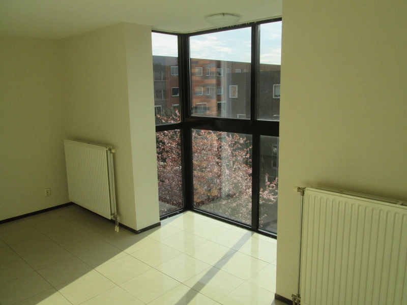 House Image 3