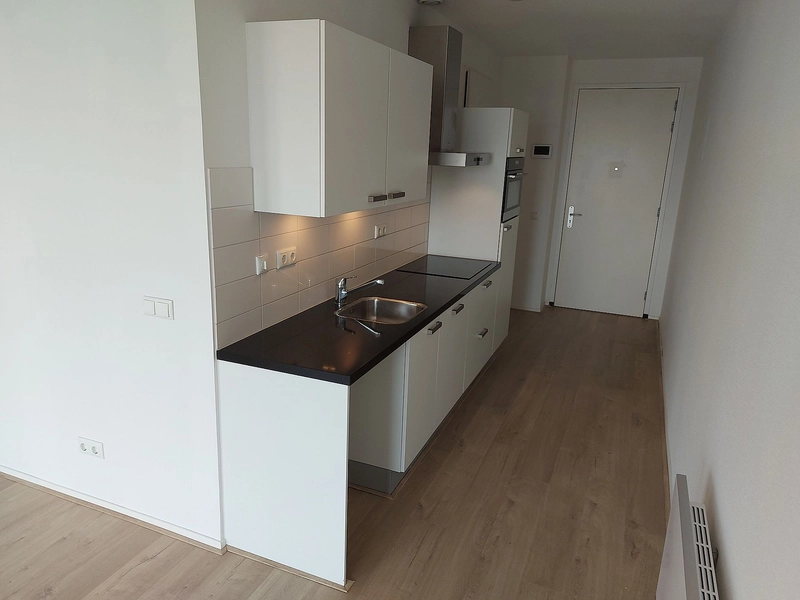 House Image 4