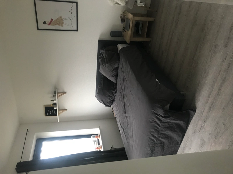 House Image 4