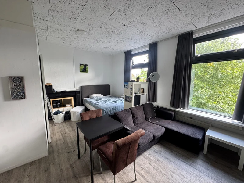 House Image 4