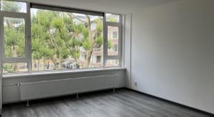 House Image 5
