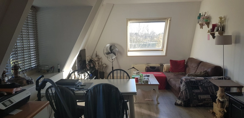 House Image 3