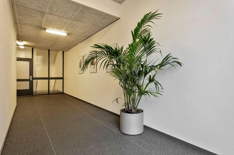 House Image 2