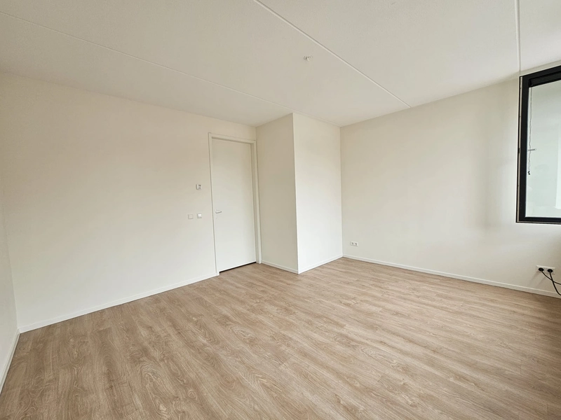 House Image 5