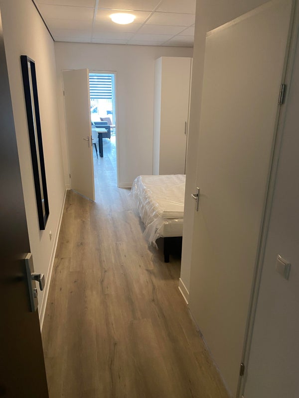House Image 3