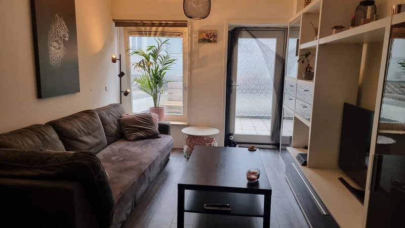 House Image 4
