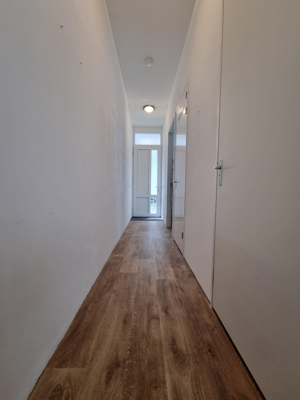 House Image 3