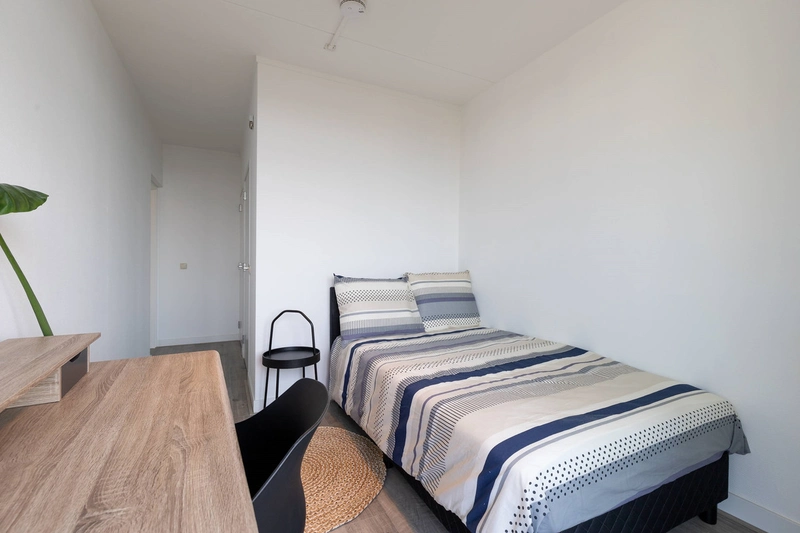 House Image 2