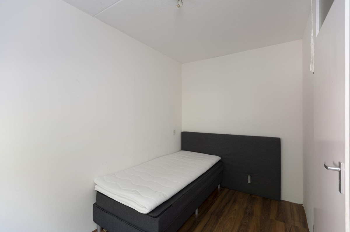 House Image 5