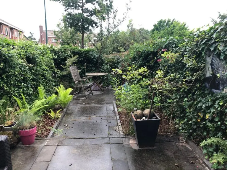 House Image 5