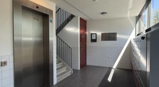 House Image 3
