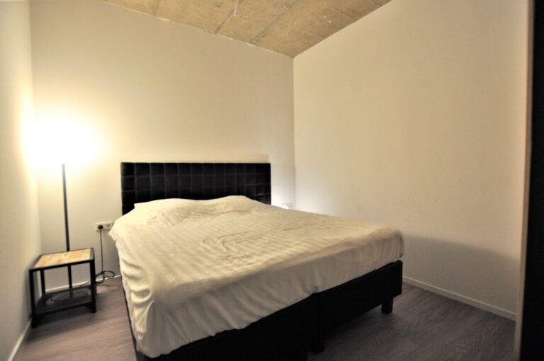 House Image 5