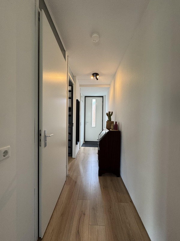 House Image 3