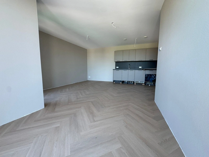 House Image 2