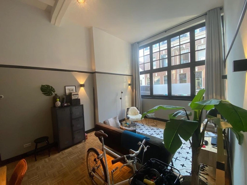 House Image 5
