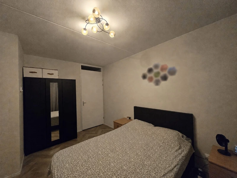 House Image 4
