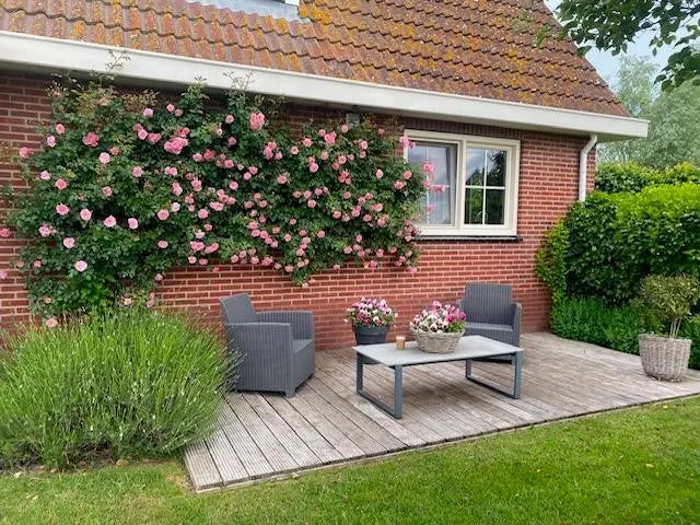 House Image 4