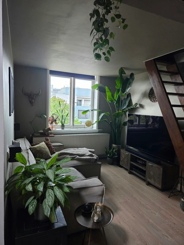 House Image 3