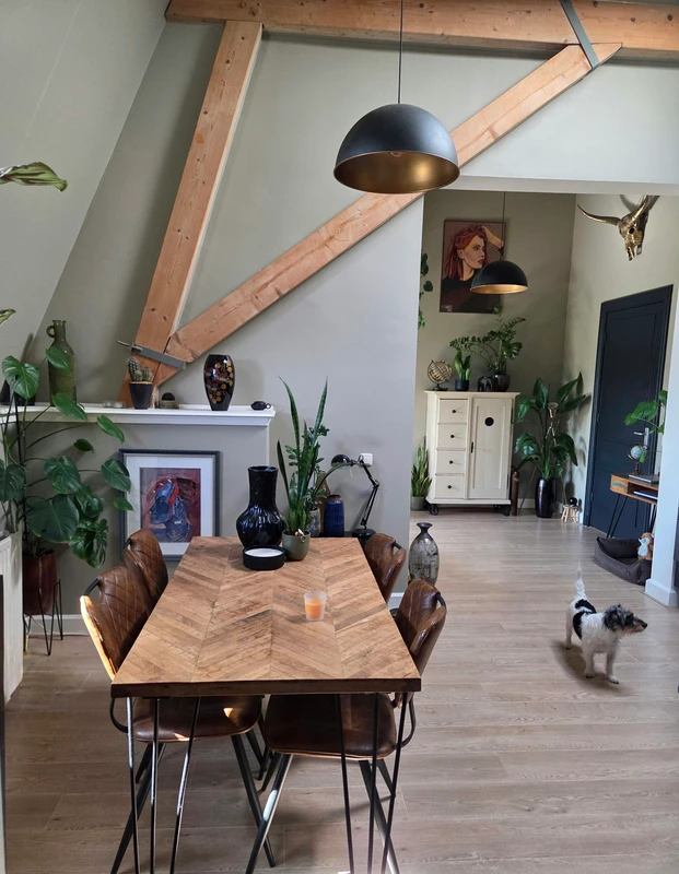 House Image 4