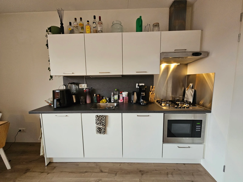 House Image 4