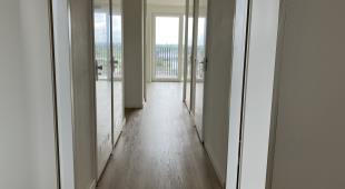 House Image 5