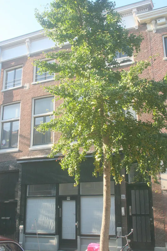 House Exterior