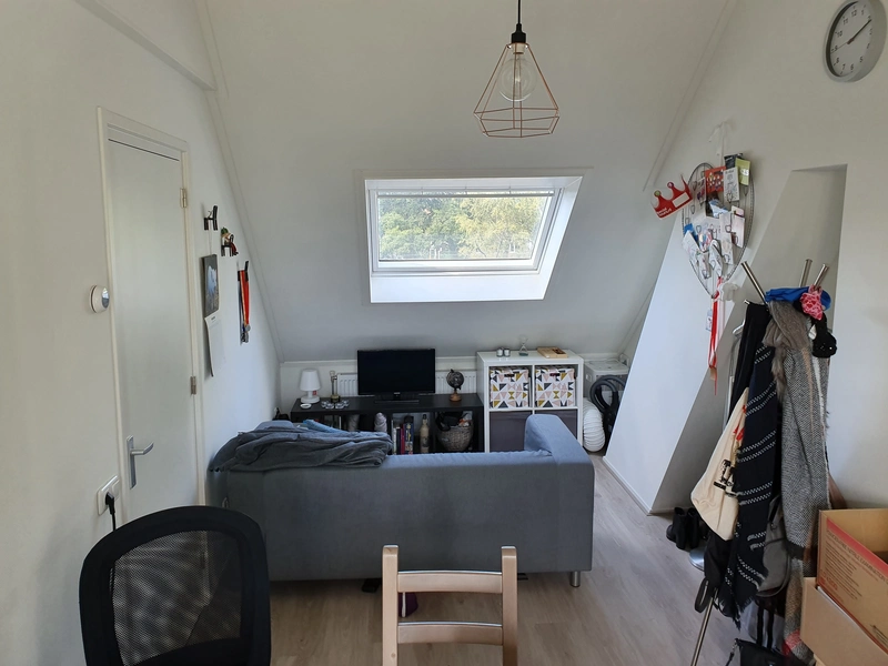 House Image 3