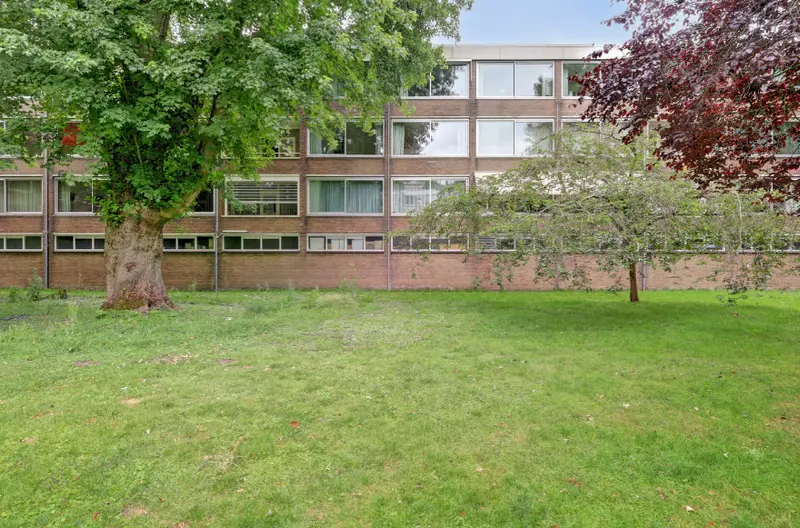 House Exterior